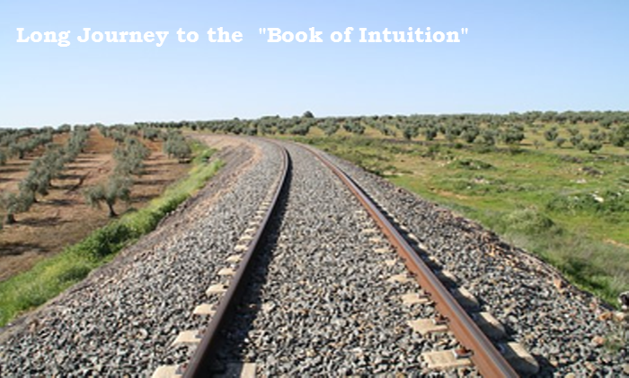 Long Journey to Book of Intuition